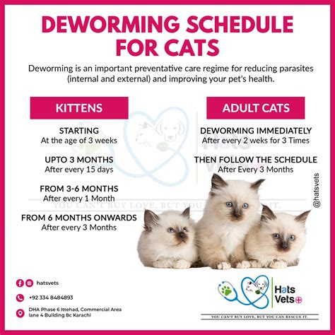 Strongid Dose for Kittens: A Comprehensive Guide to Deworming Your Little Felines