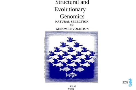 Structural and Evolutionary Genomics Natural Selection and Genome Evolution Reader