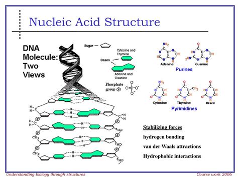 Structure and Conformation of Nucleic Acids and Protein-nucleic Acid Interactions Reader