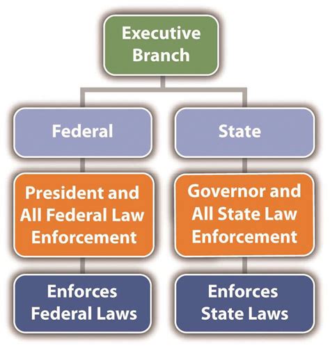Structure of the Executive Branch