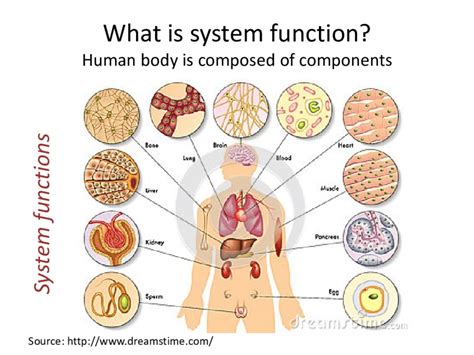 Structureand Function of Human Body and S G Pkg PDF