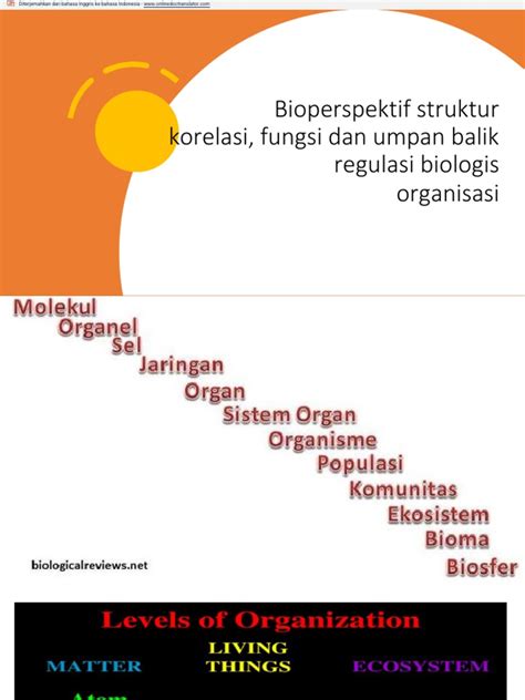 Struktur dan Regulasi Liga