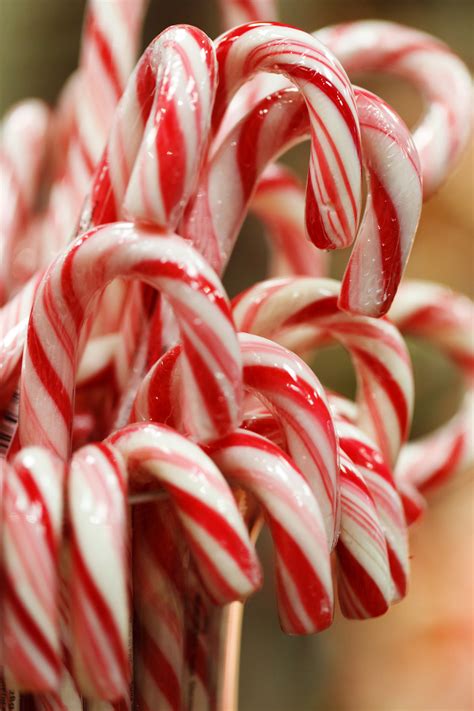 Strut in Style with the Candy Cane Striped Gem