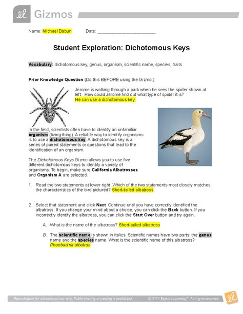 Student Answer To The Dichotomous Key Gizmo Reader