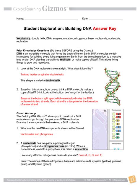 Student Exploration Building Dna Answers For Gizmo Kindle Editon
