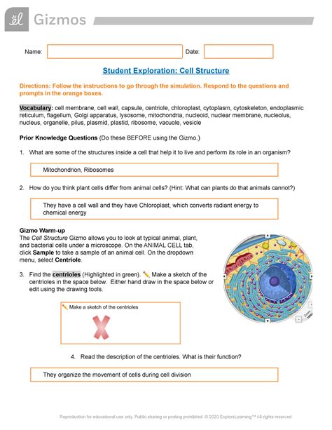 Student Exploration Cell Structure Answers Reader