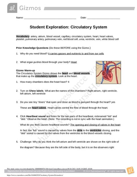 Student Exploration Circulatory System Answer Key Doc