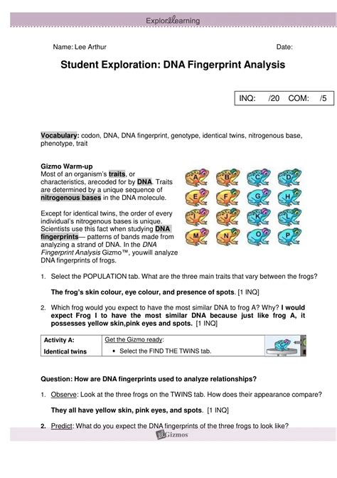 Student Exploration Dna Fingerprint Analysis Answer Key Reader