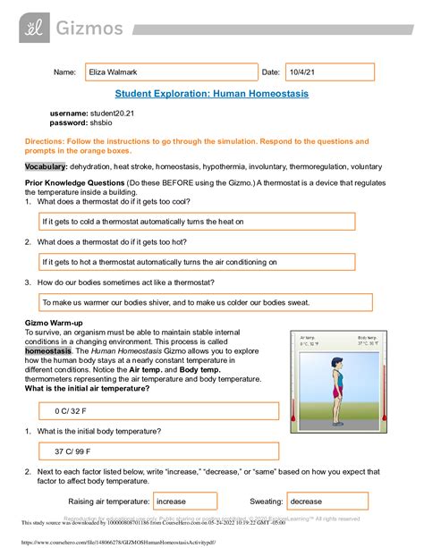 Student Exploration Human Homeostasis Gizmo Answer Key Doc