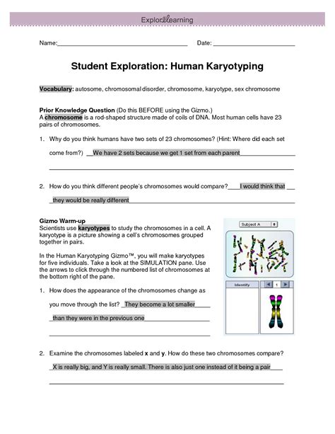 Student Exploration Human Karyotyping Answer Sheet Epub