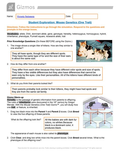 Student Exploration Mouse Genetics One Trait Answers Epub