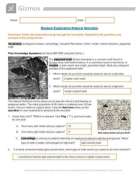 Student Exploration Natural Selection Answer Key PDF