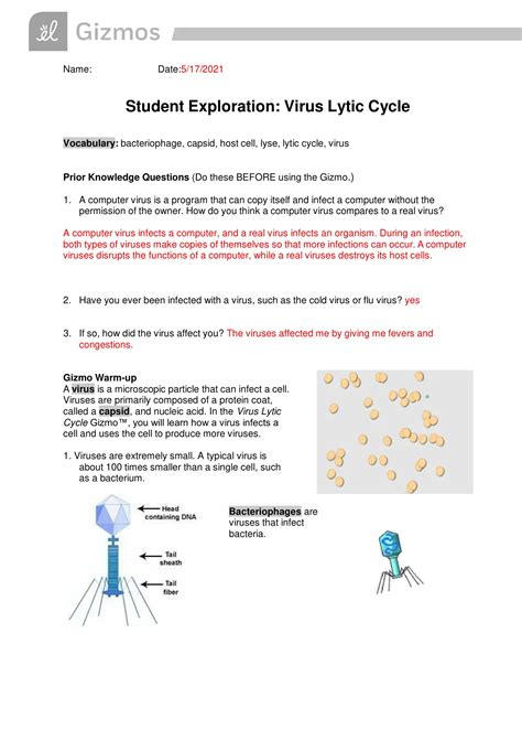 Student Exploration Virus Lytic Cycle Answers Reader