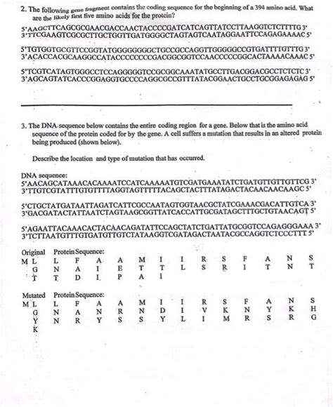 Student Handout For Codon Problem Answers Reader