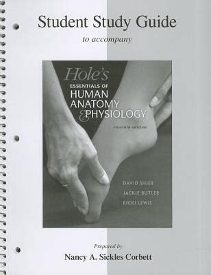 Student Study Guide Hole's Human Anatomy & Physiology 13th Edition Epub