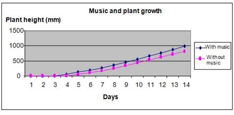 Students Conduct Experiment on the Effects of Music on Plant Growth