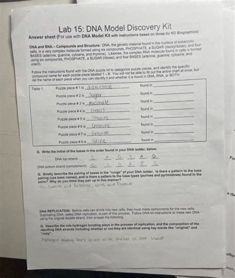 Students Guide For Dna Model Kit Answers Epub