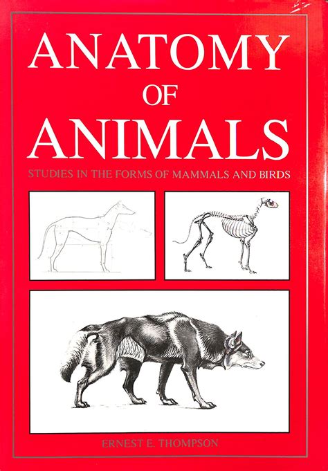 Studies In The Art Anatomy Of Animals Being A Brief Analysis Of The Visible Forms Of The More Familiar Mammals And Birds Designed For The Use Of Illustrators Naturalists And Taxidermists PDF