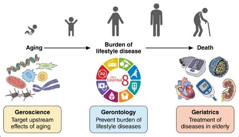 Studies of Aging Epub