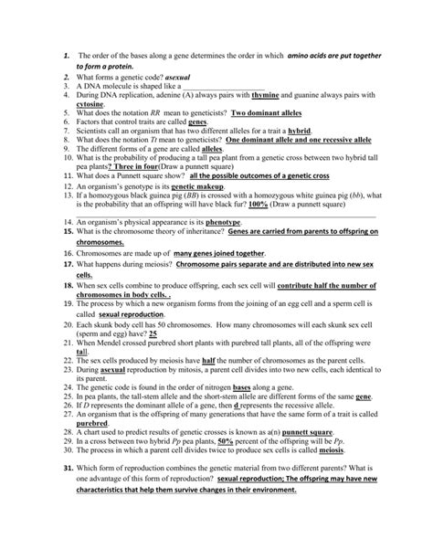 Study Guide Answer Key Chapter 19 PDF