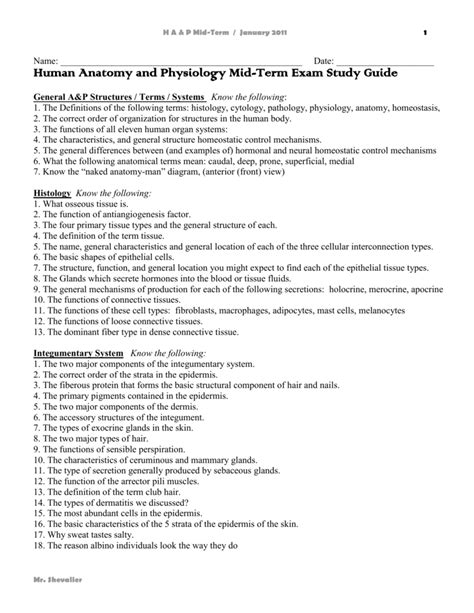 Study Guide Answers For Anatomy Semester Exam Fbisd Campuses PDF