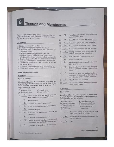 Study Guide Answers For Chapter 16 Human Body In Health Disease PDF