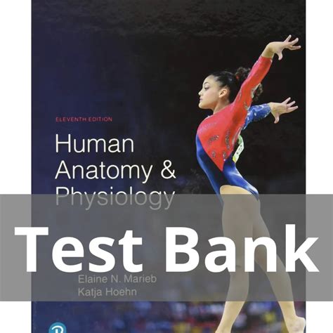 Study Guide For Human Anatomy Physiology Answers Marieb PDF