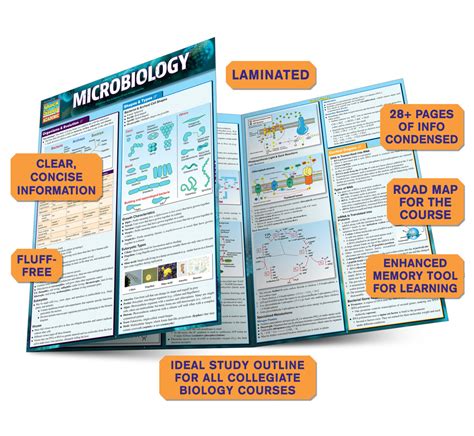 Study Guide For Microbiology An Introduction Answers Doc