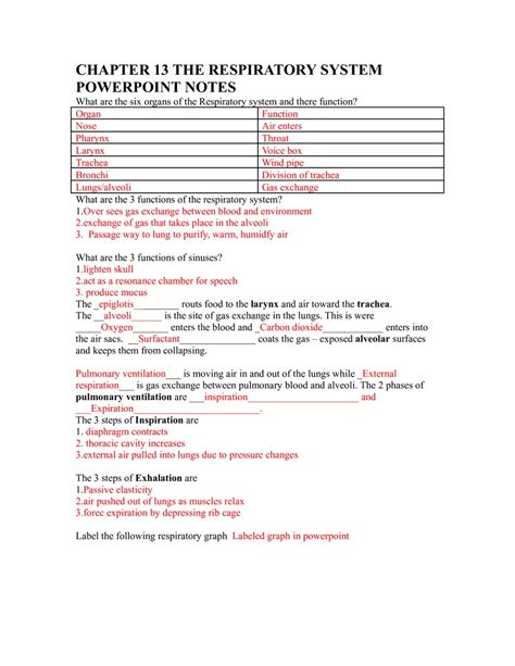 Study Guide For The Respiratory System Answers Epub