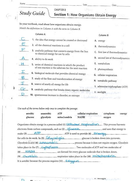 Study Guide Section 2 Photosynthesis Answer Key Kindle Editon