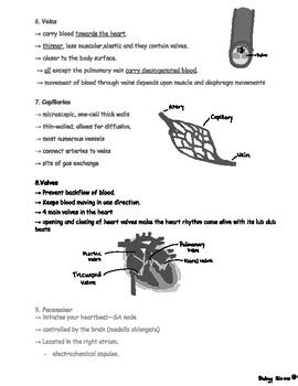 Study Guide The Circulatory System Answer Epub