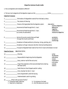 Study Guide The Digestive System Answers PDF