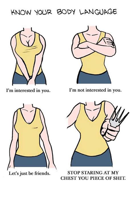 Study My Big Tits: A Comprehensive Guide to Understanding and Appreciating the Female Breast