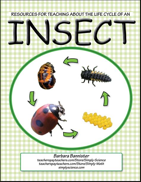 Study of Insect Life Kindle Editon