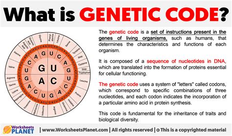 Study the genetic code: