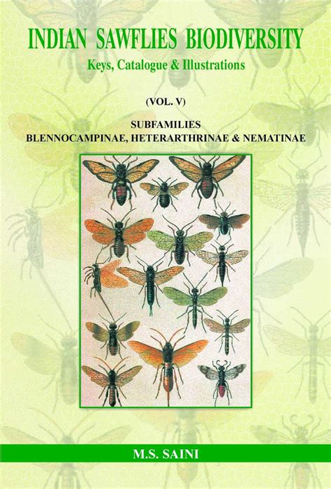 Subfamilies Blennocampinae PDF