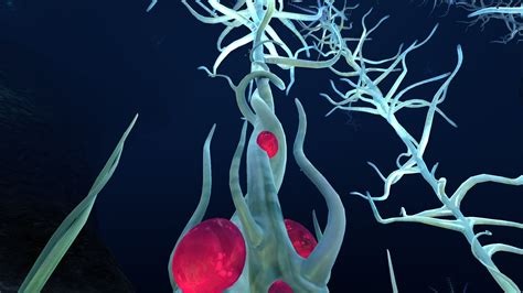 Subnautica Blood Kelp: A Guide to the Spooky Underwater Jungle