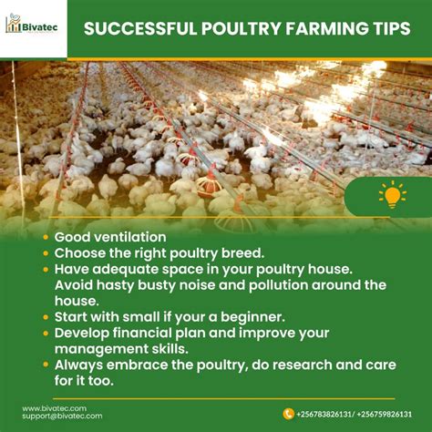 Successful Lessons in Poultry Raising Epub