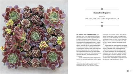 Succulents Simplified Designing Easy Care Varieties PDF