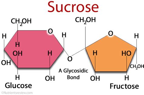 Sucrose Reader