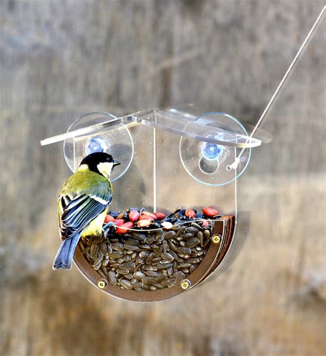 Suction Cup Bird Feeders: The Perfect Way to Bring Nature to Your Window