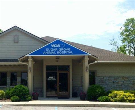 Sugar Grove Animal Hospital: 8 Reasons Why It's the Best Choice for Your Pet's Healthcare