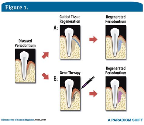 SugarHotMouth: A Paradigm Shift in Oral Hygiene