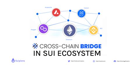 Sui to Solana Bridge: Unleashing the Power of Cross-Chain Interoperability