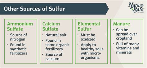 Sulfur Fertilizer: The Ultimate Guide on Usage and Benefits