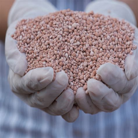 Sulphate of Potash Fertilizer: The Essential Nutrient for Soil Health