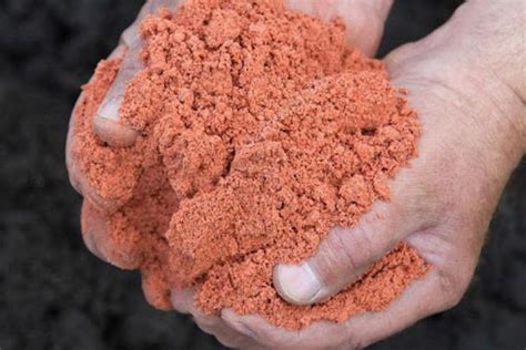 Sulphate of Potash Fertilizer: Your Guide to Maximizing Crop Yield and Soil Health