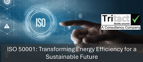 Summer Gold MFC: Transforming the Future of Energy Efficiency