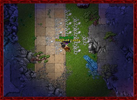 Summoning Magic in Tibia: A Comprehensive Exploration