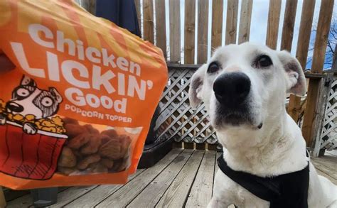 Sunday's Dog Food Reviews: 433 Reviews to Bark About!